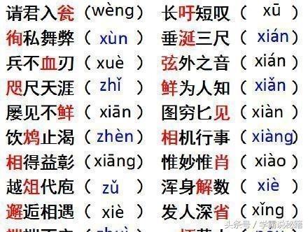 娱乐吃瓜酱学单词