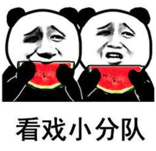 娱乐圈吃瓜的表情包,笑料百出！